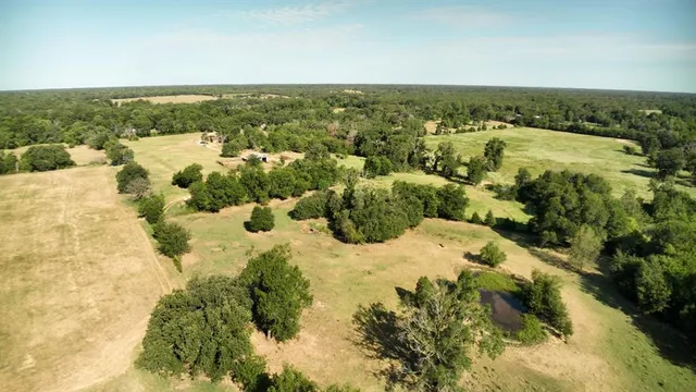 an aerial view of residential houses with outdoor space and trees