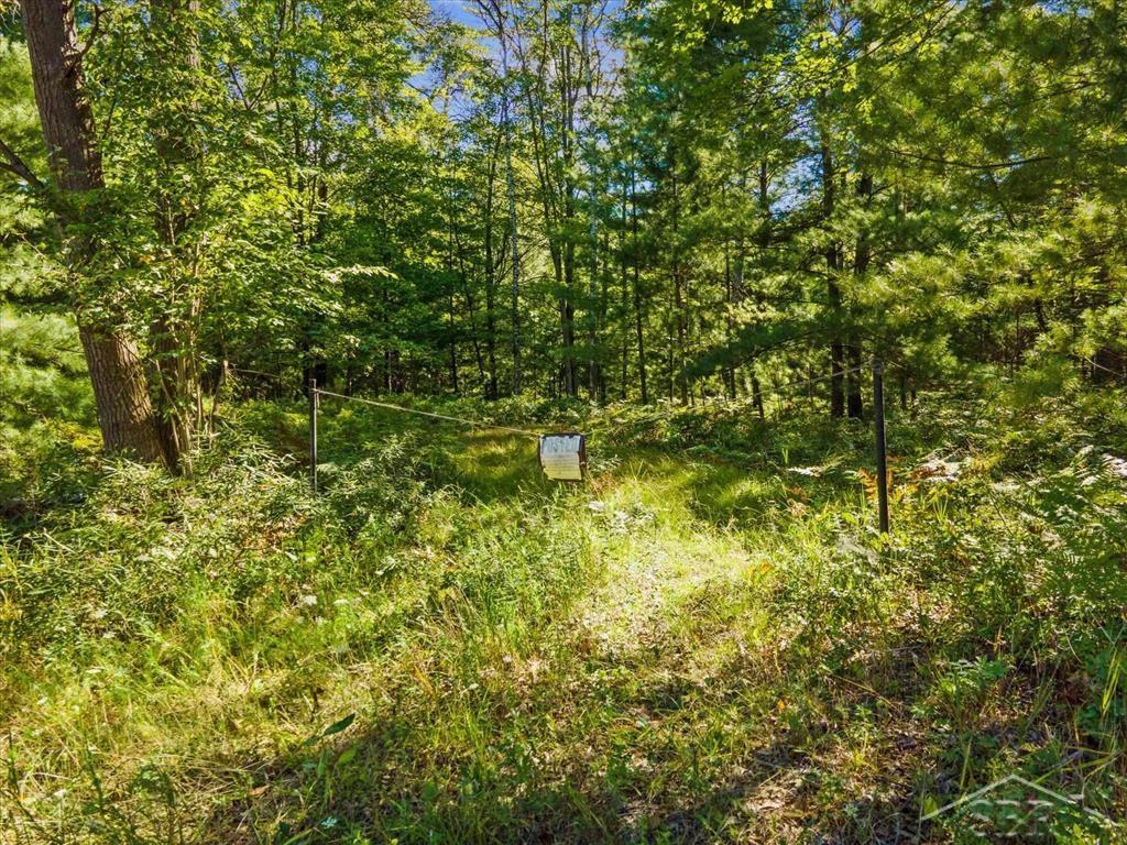 Vl Fireline Trail Alger, MI 48610 - Photo 2 of 15