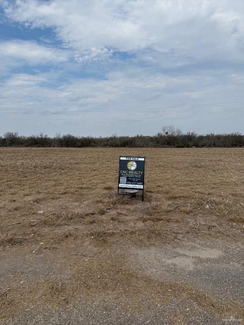 0 Eisenhower Road Rio Grande City, TX 78582 - Photo 2 of 2 a view of a lake with mountain in the back