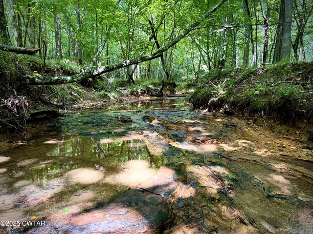 a view of swimming pool with a yard