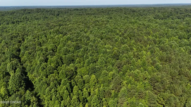 a view of a field of grass and trees