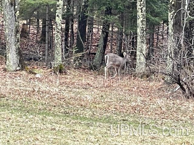 29960 Co Road Cornell, MI 49818 - Photo 25 of 27