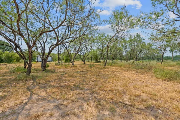 a view of outdoor space with trees