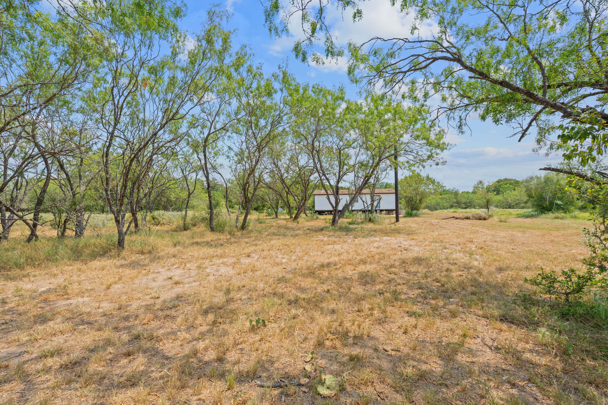 1375 Plant Road Luling, TX 78648 - Photo 13 of 17 a view of outdoor space with trees