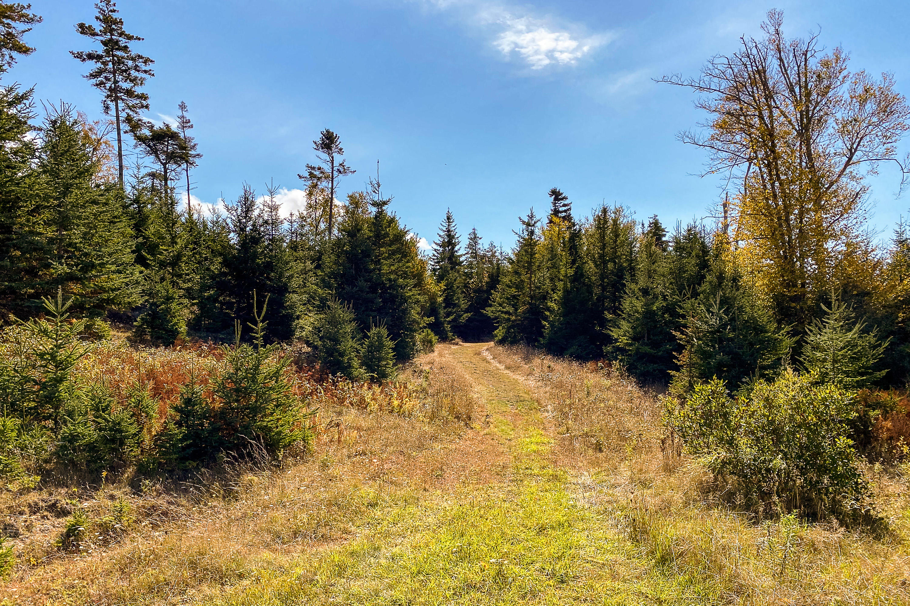13 Hermit's Point Road Islesboro, ME 04848 - Photo 17 of 32 13HermitsPoint_18_S_print