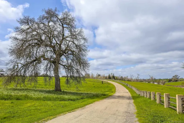 a view of an swimming pool and a yard