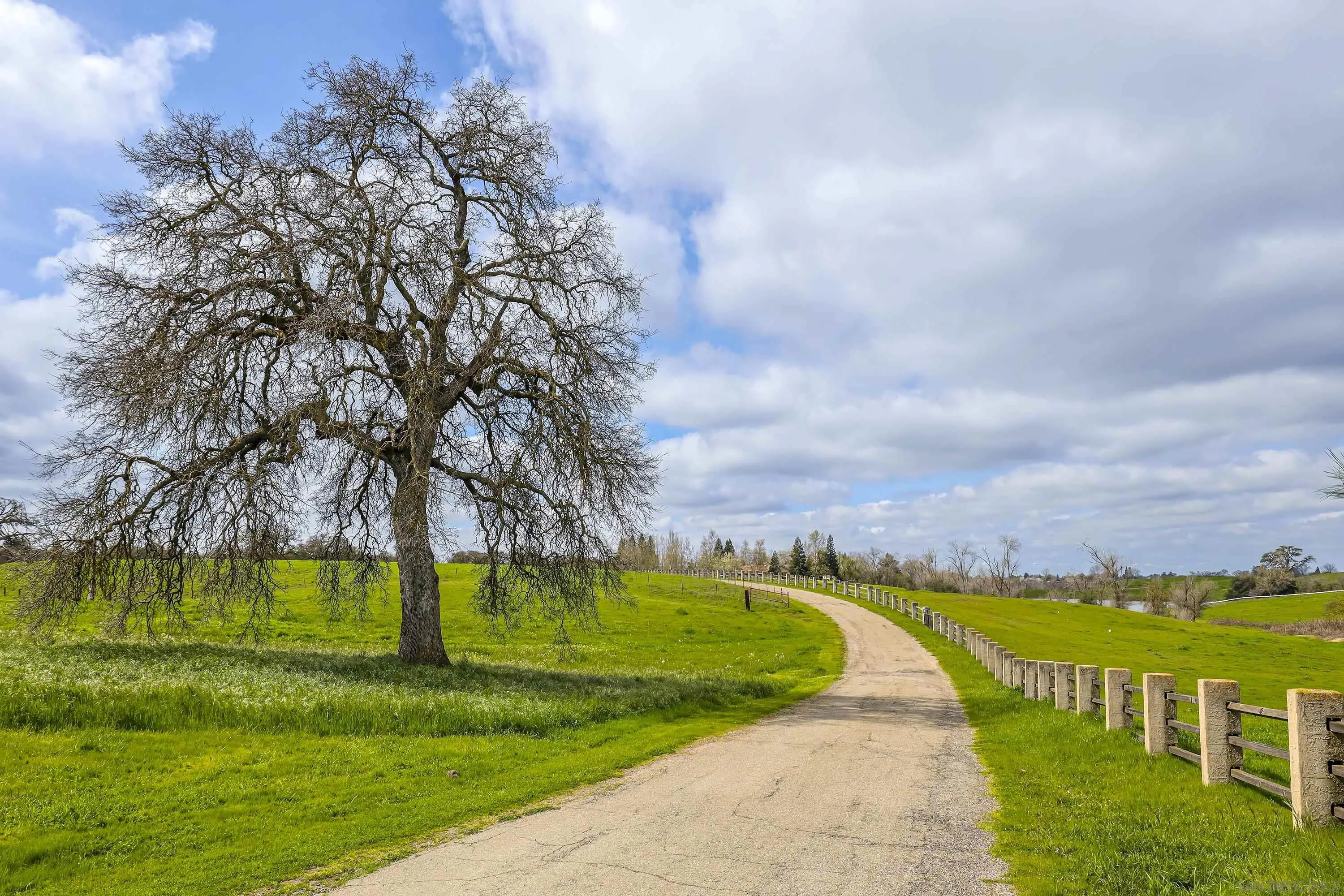 24943 North Mcintire Road Clements, CA 95227 - Photo 2 of 68 a view of swimming pool with a garden and stairs