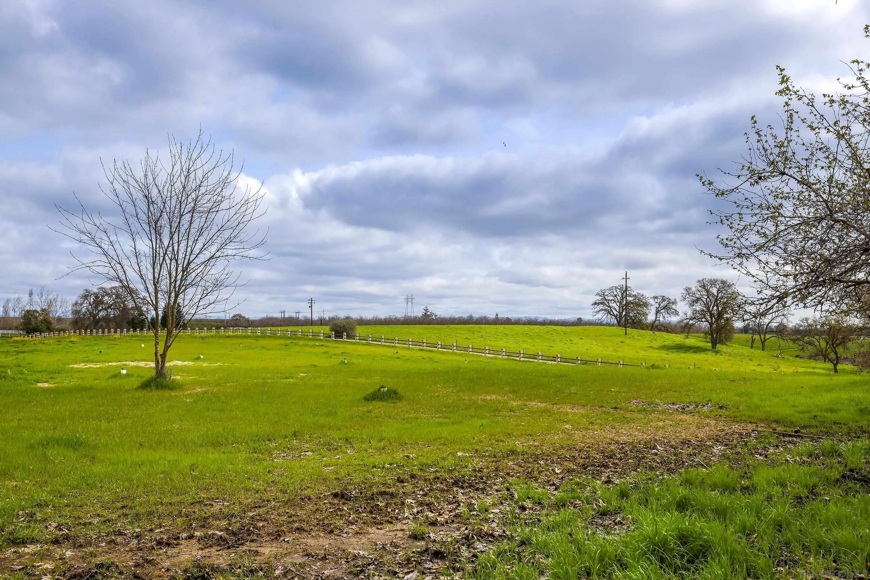24943 North Mcintire Road Clements, CA 95227 - Photo 3 of 68 a view of an swimming pool and a yard