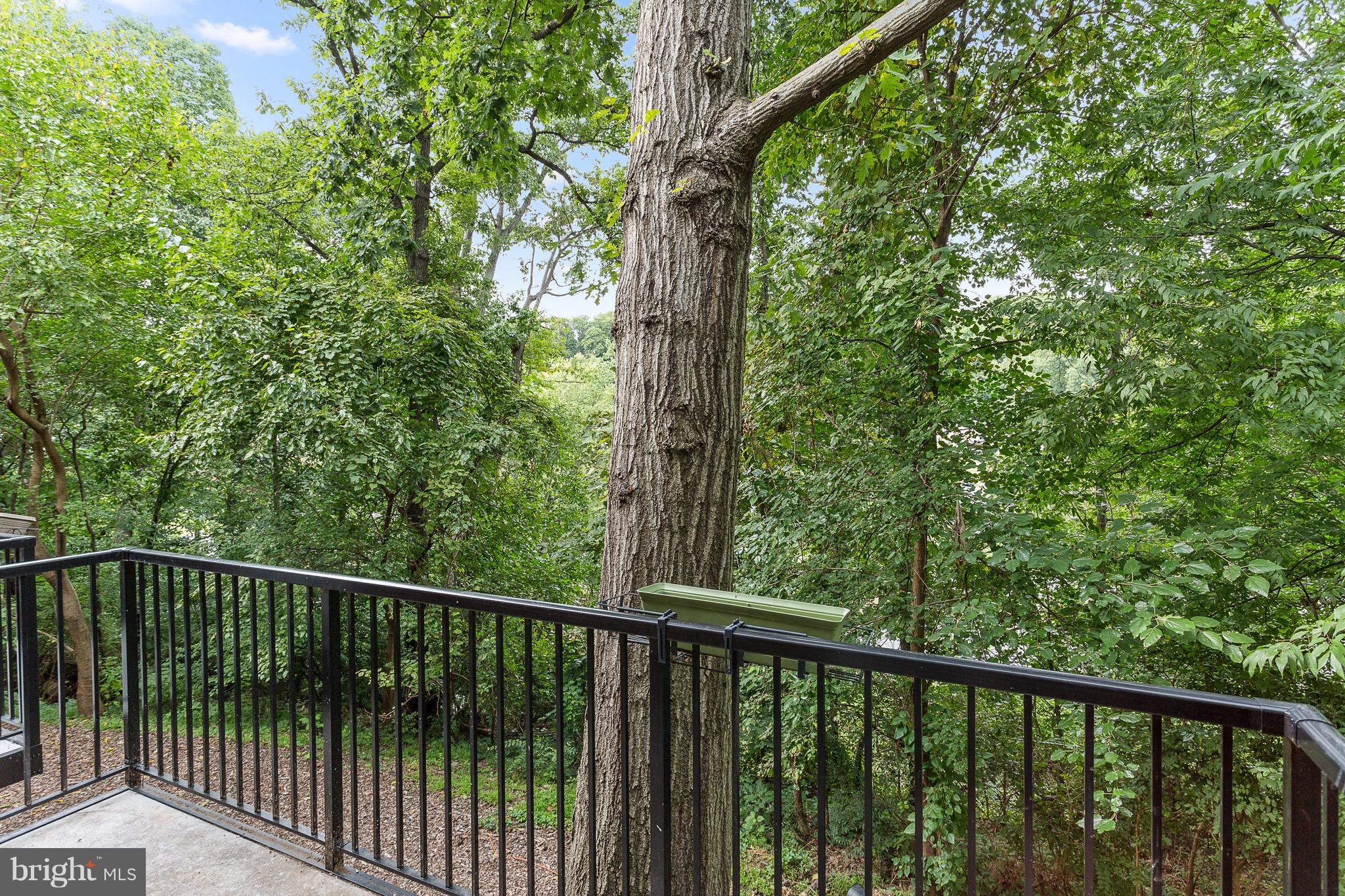 4813 27th Road South Arlington, VA 22206 - Photo 18 of 29 View