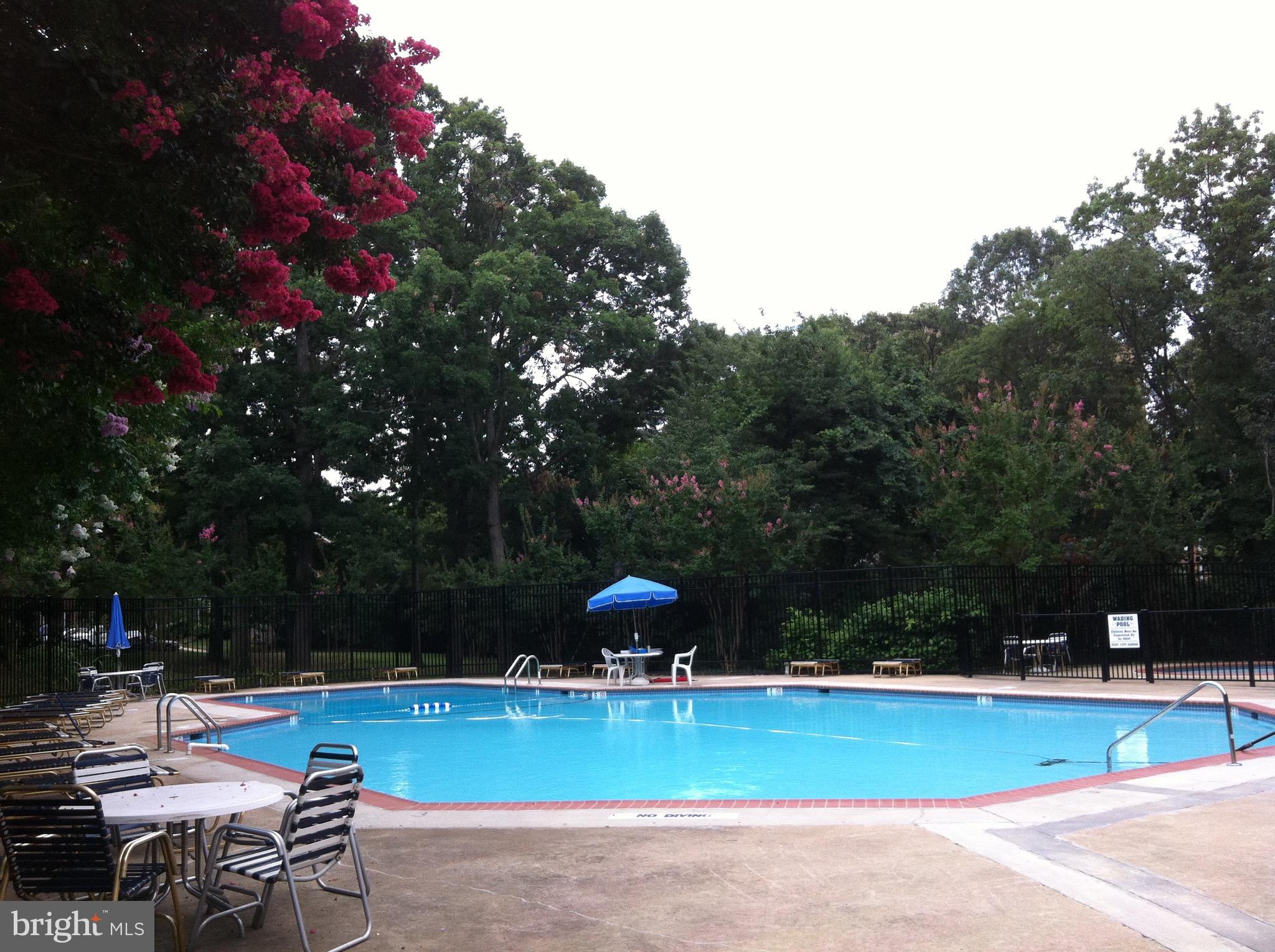 4813 27th Road South Arlington, VA 22206 - Photo 26 of 29 Community