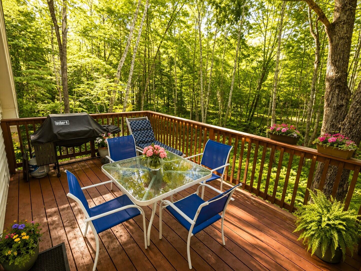 284 Mountain View Pines Road Lovell, ME 04051 - Photo 40 of 40 40) 76883-6aa0bcefd119c