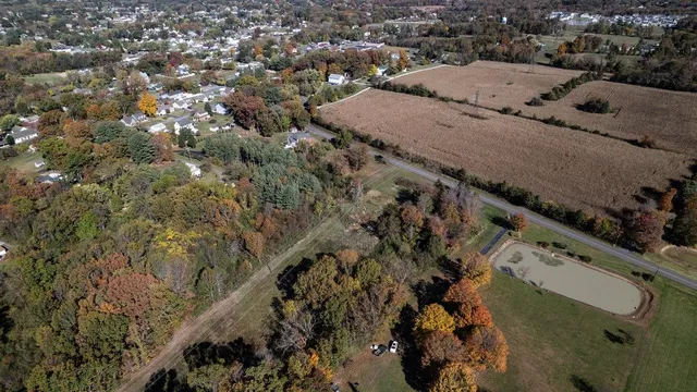 a view of a yard with plants