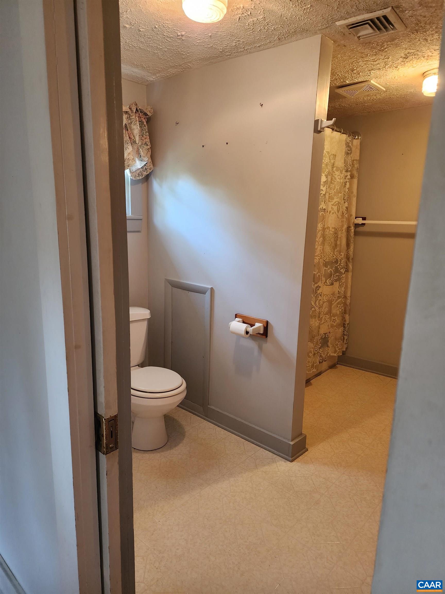 10778 Rockfish River Road Shipman, VA 22971 - Photo 34 of 67 a bathroom with a granite countertop shower and a toilet