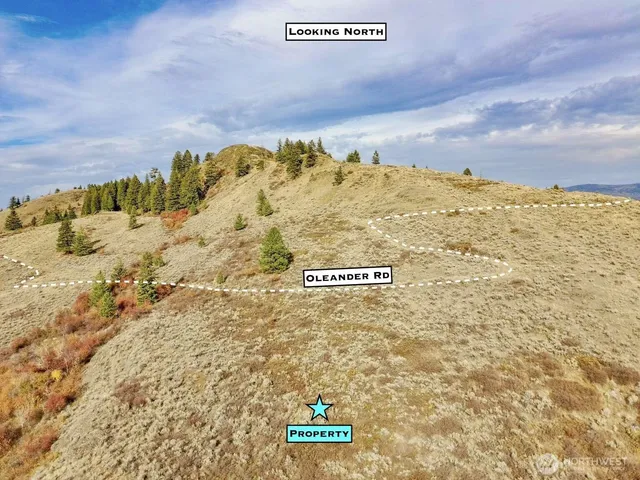 a view of a dry yard