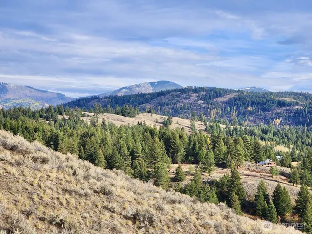 $32,997 | 48 Oleander Road, Republic, WA 99166