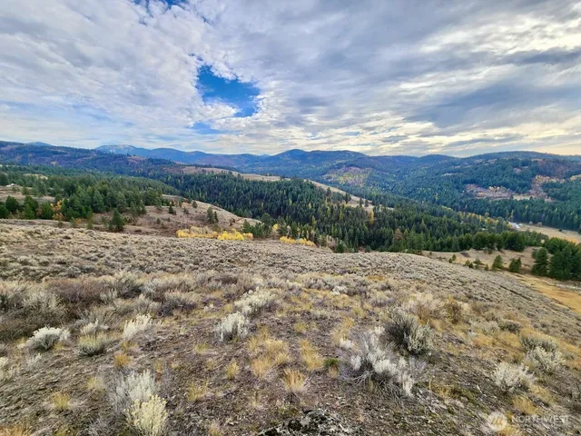 a view of a lake with a mountain in the background