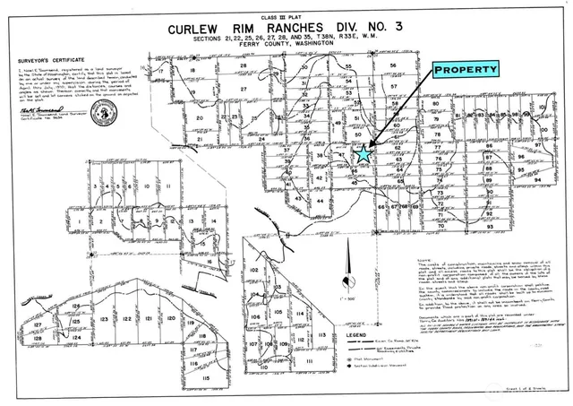 a black and white photo of a painting