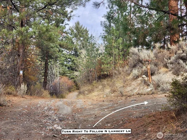 a view of a yard with wooden fence