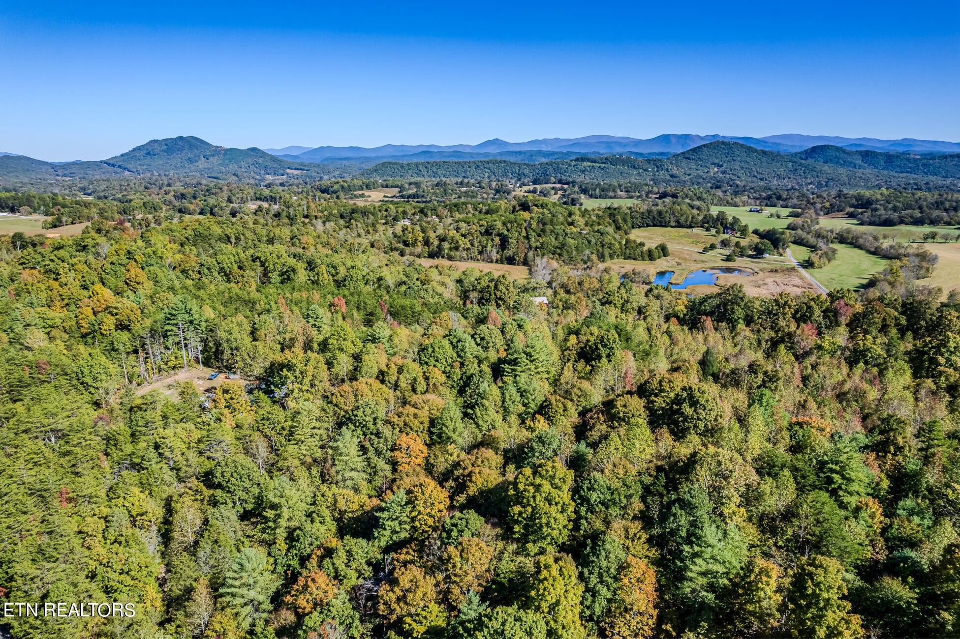 0 Payne Road Tellico Plains, TN 37385 - Photo 5 of 8