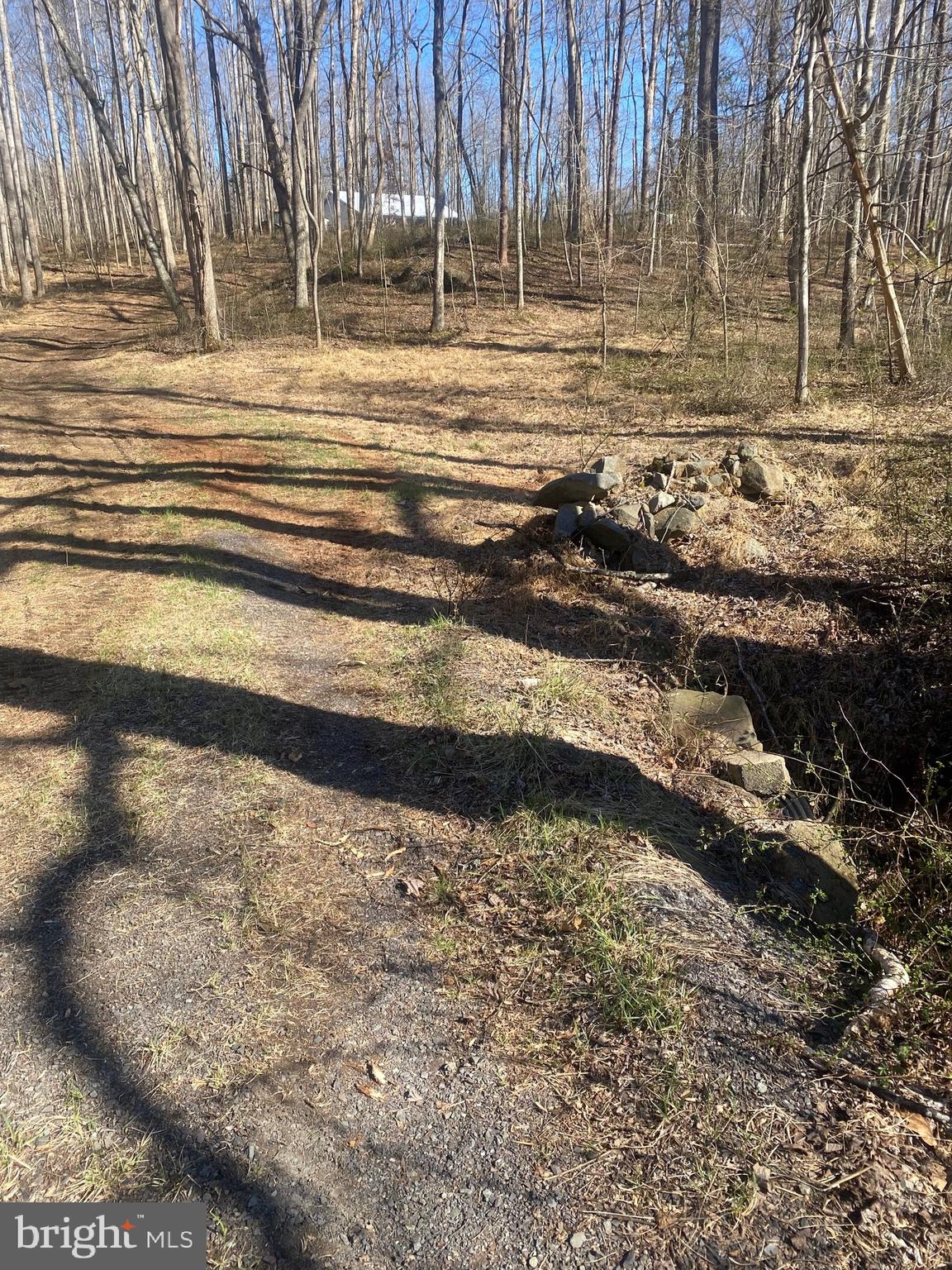 0 Sky Rdg Trail Culpeper, VA 22701 - Photo 14 of 14