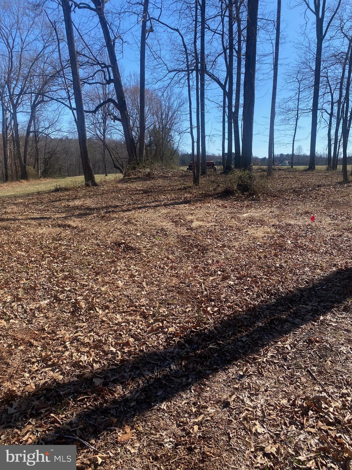 0 Sky Rdg Trail Culpeper, VA 22701 - Photo 7 of 14 Some wooded acreage for privacy