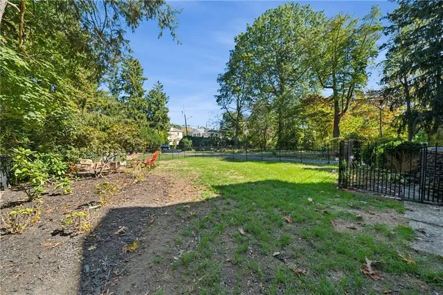 a view of a park with large trees