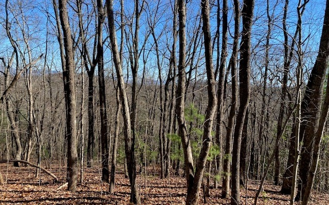 4 Sunrock Mountain Trace Blue Ridge, GA 30513 - Photo 2 of 10 Additional View