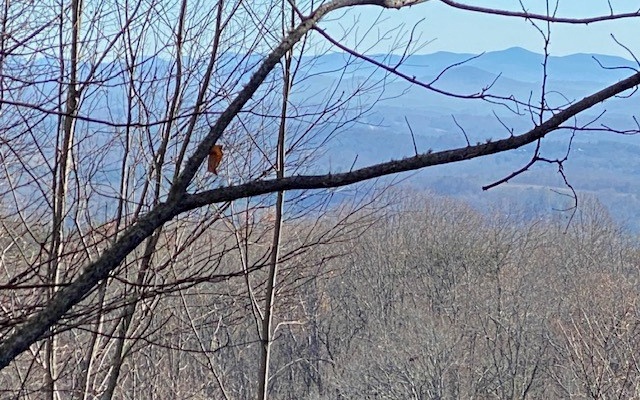 4 Sunrock Mountain Trace Blue Ridge, GA 30513 - Photo 3 of 10 Additional View