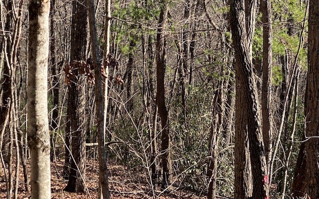4 Sunrock Mountain Trace Blue Ridge, GA 30513 - Photo 5 of 10 Additional View