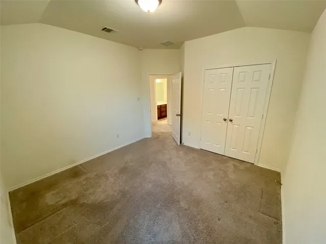 a view of a garden with plants