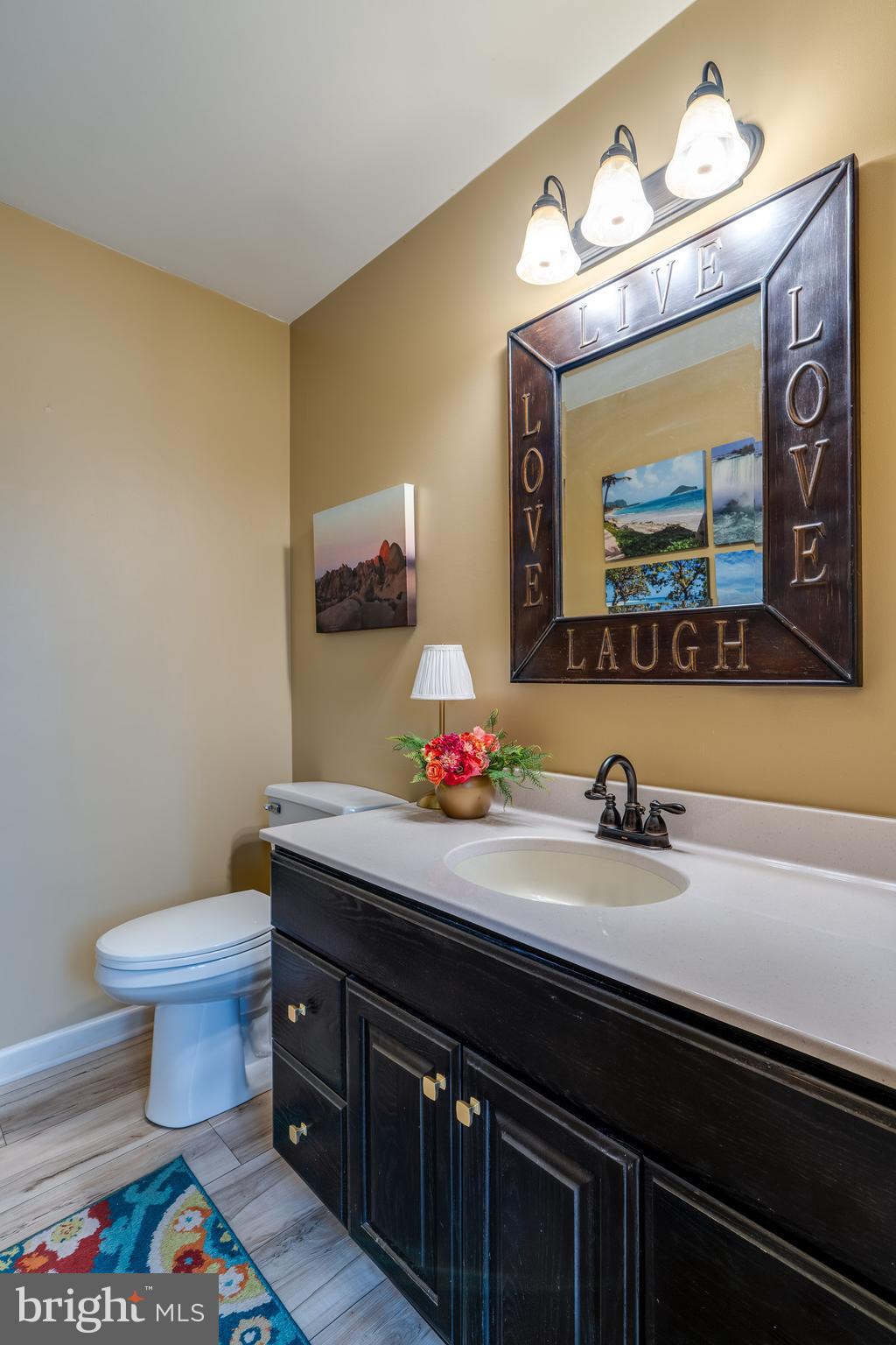 231 Owl Hill Road Lititz, PA 17543 - Photo 41 of 77 a bathroom with a sink and a mirror