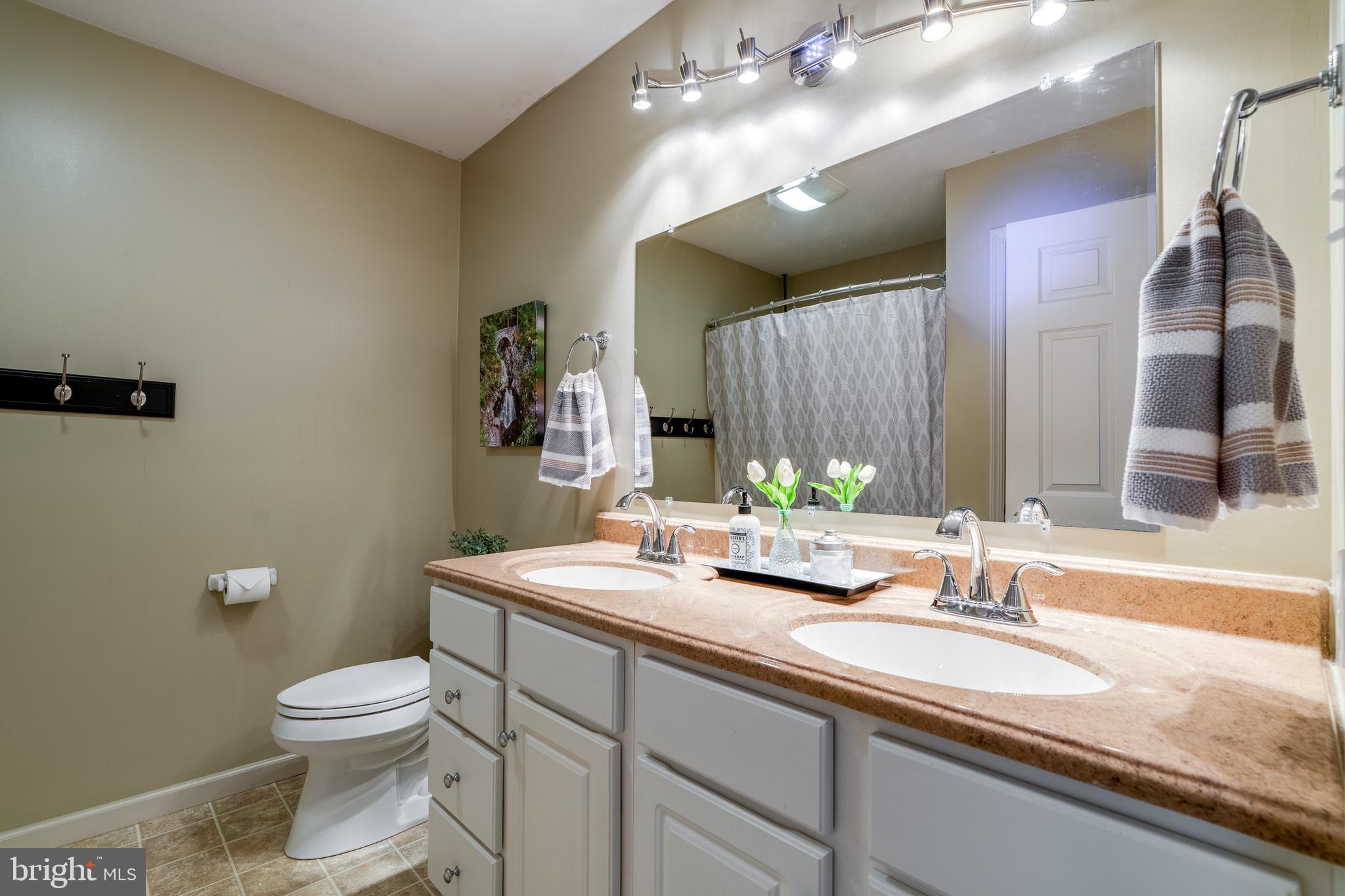 231 Owl Hill Road Lititz, PA 17543 - Photo 57 of 77 a bathroom with a granite countertop sink a toilet and a mirror