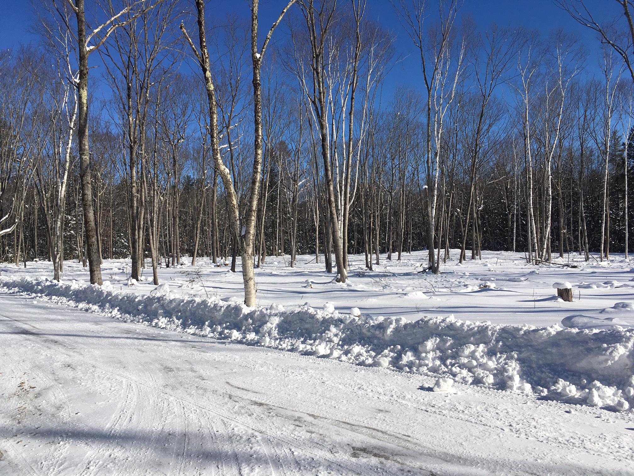480 Greely Road Extension Cumberland, ME 04021 - Photo 1 of 5 IMG_7331