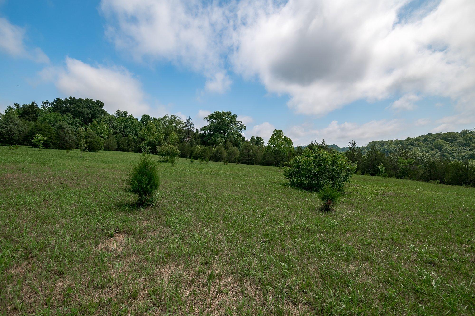 15850 Irvine Road Winchester, KY 40391 - Photo 46 of 63 047-15850_irvine_rd_6_12_21-highrez.jpg-