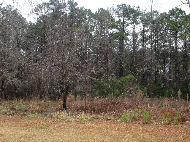 6121 Forsyth Road Macon, GA 31210 - Photo 5 of 17 a view of a yard