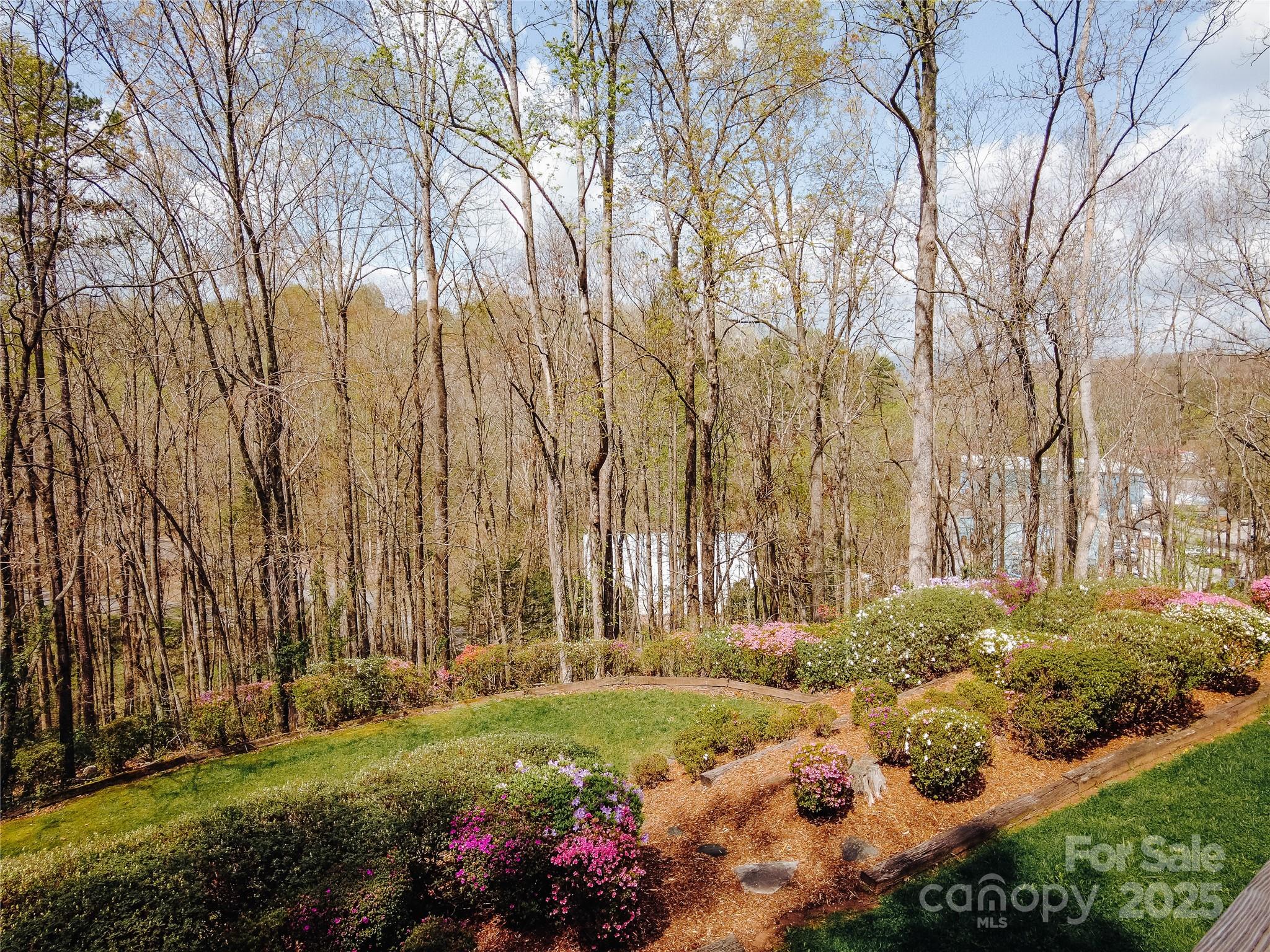 269 Forest Road Marion, NC 28752 - Photo 44 of 48