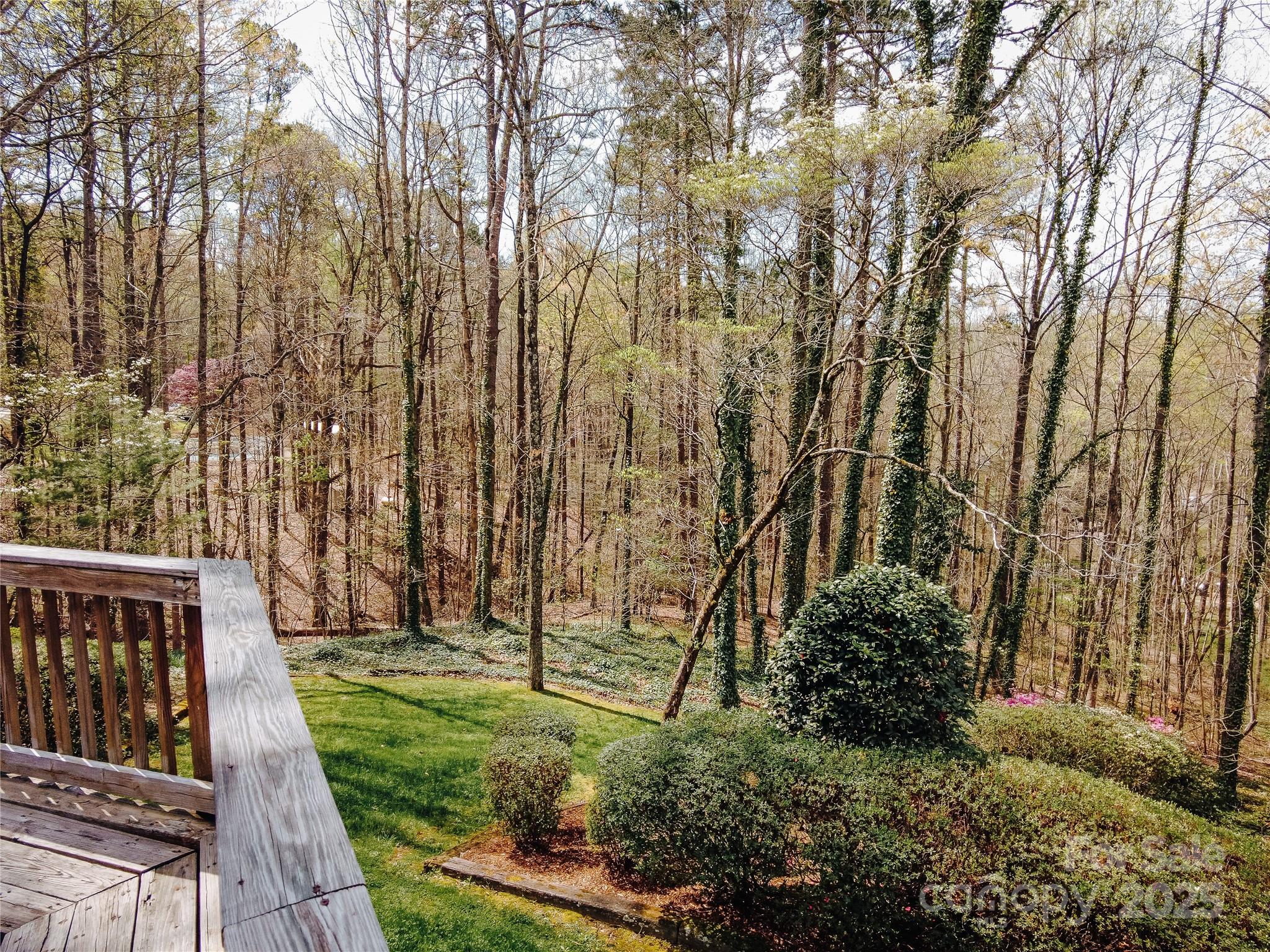 269 Forest Road Marion, NC 28752 - Photo 46 of 48