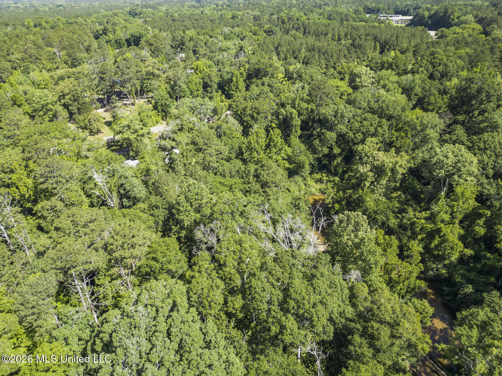 Dixie Avenue Mendenhall, MS 39114 - Photo 3 of 9 Dixie-Hwy 13 Drone-4