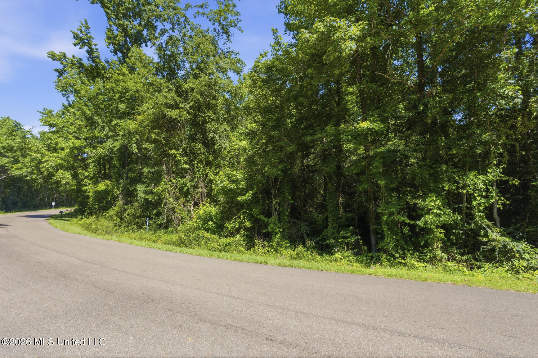 Dixie Avenue Mendenhall, MS 39114 - Photo 6 of 9 Dixie-Hwy 13-2