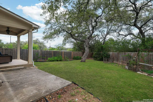 a view of a backyard with a garden and trees
