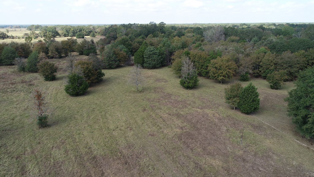 2703 AN County Road Tennessee Colony, TX 75861 - Photo 5 of 30