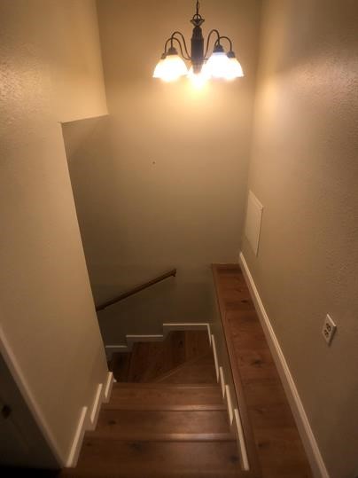 4553 Seawillow Road Lockhart, TX 78644 - Photo 7 of 18