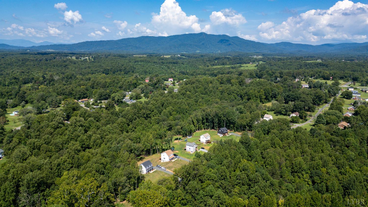 240 Ned Brown Road Amherst, VA 24521 - Photo 49 of 53