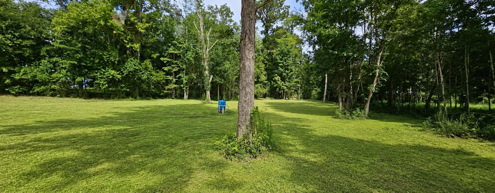 692 Gardensgate Road Eutawville, SC 29048 - Photo 12 of 18 Back yard