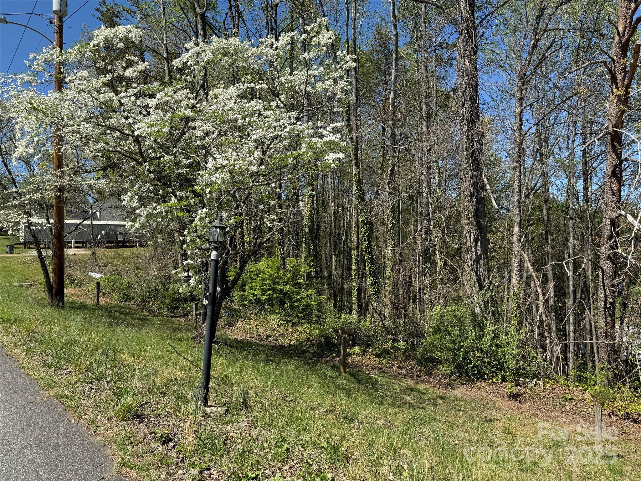 12 Hoyle Street, Unit 12 Marion, NC 28752 - Photo 8 of 9