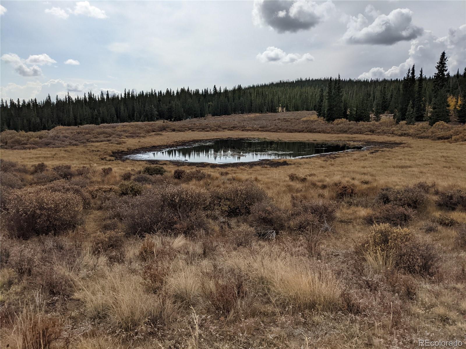 0 Snow Cap Peaks Road Fairplay, CO 80440 - Photo 10 of 20
