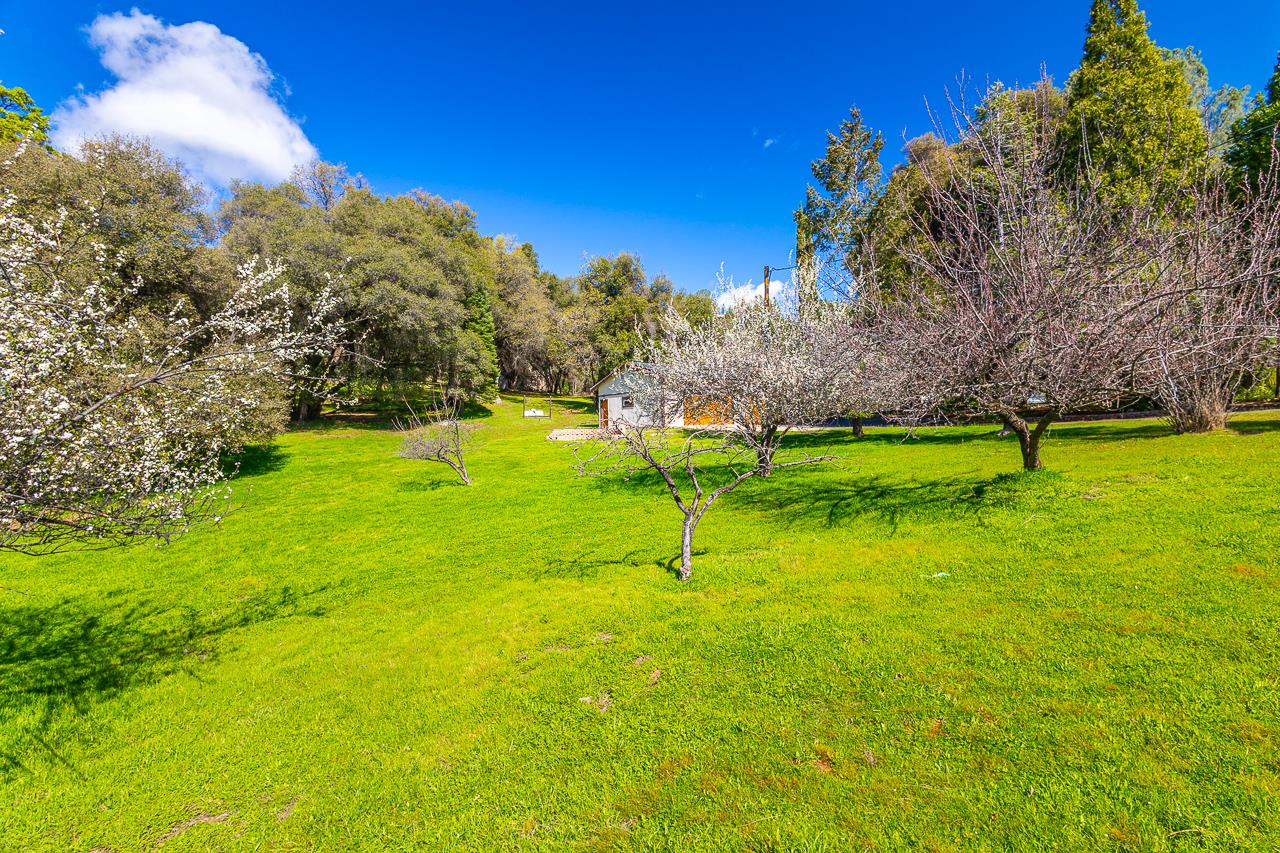 6233 Silver Ridge Lane Placerville, CA 95667 - Photo 34 of 42