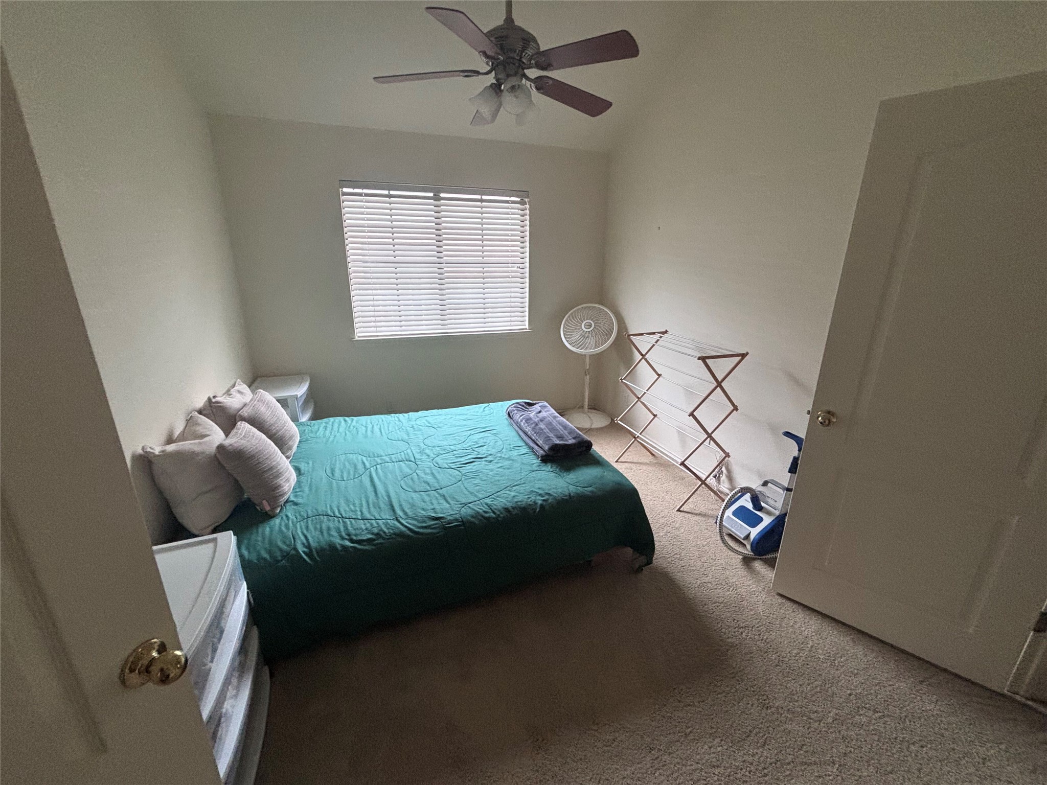 1316 Mesquite Road Cedar Park, TX 78613 - Photo 6 of 24 An inviting bedroom with plush carpet and a convenient ceiling fan for ultimate comfort.