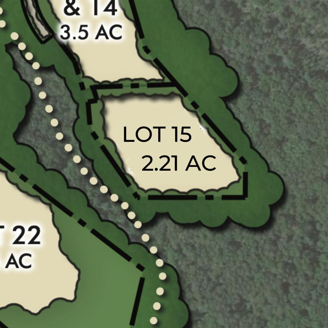 Lot 15