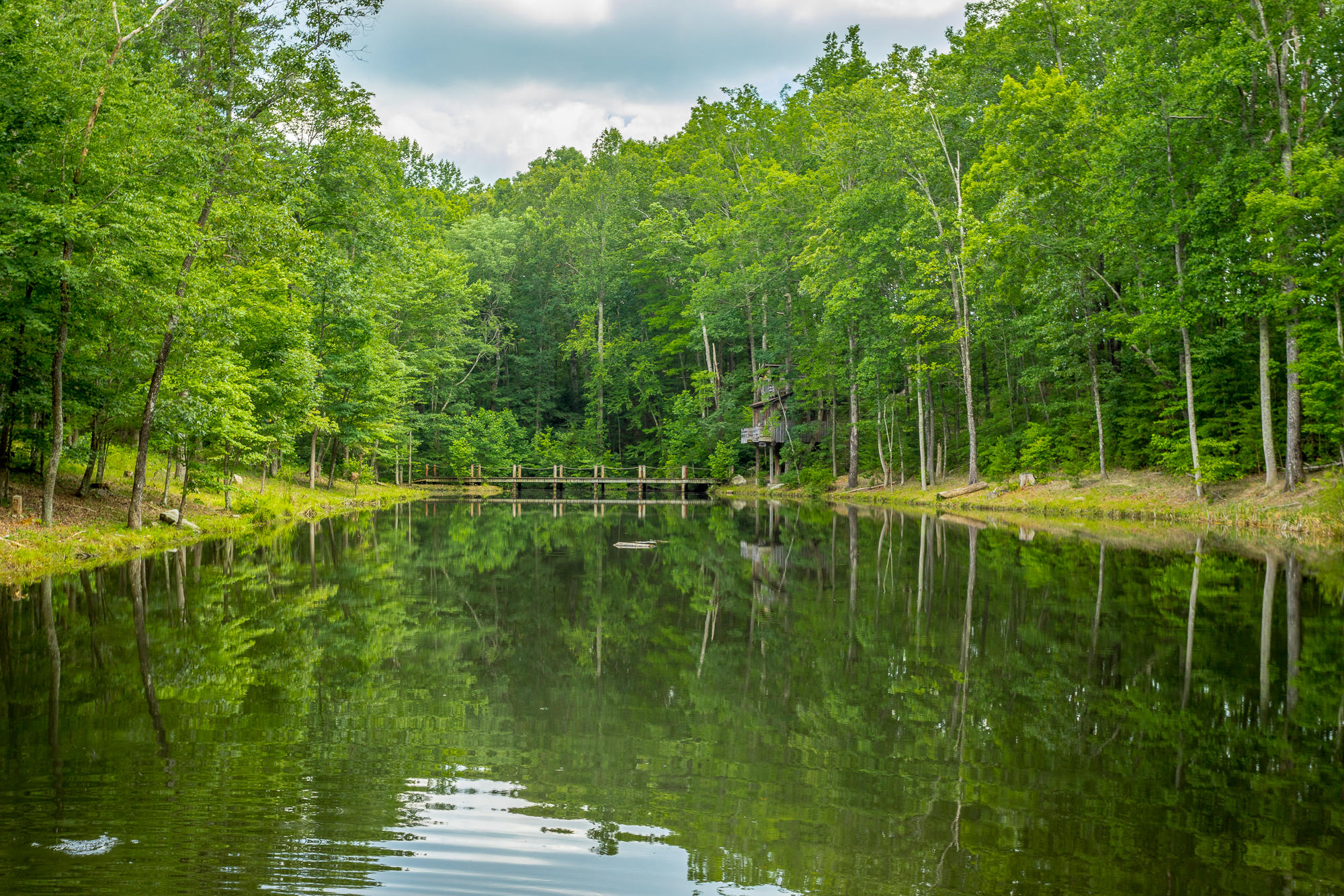137 Little Bluff Road, Unit LOT 15 Rising Fawn, GA 30738 - Photo 16 of 24 Lake Laura